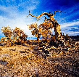 《四海兄弟：最终版》移除D加密 打折促销售83元